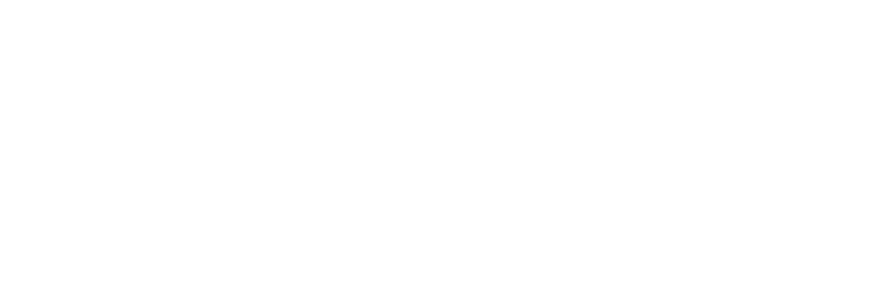Apollo Digital Solutions